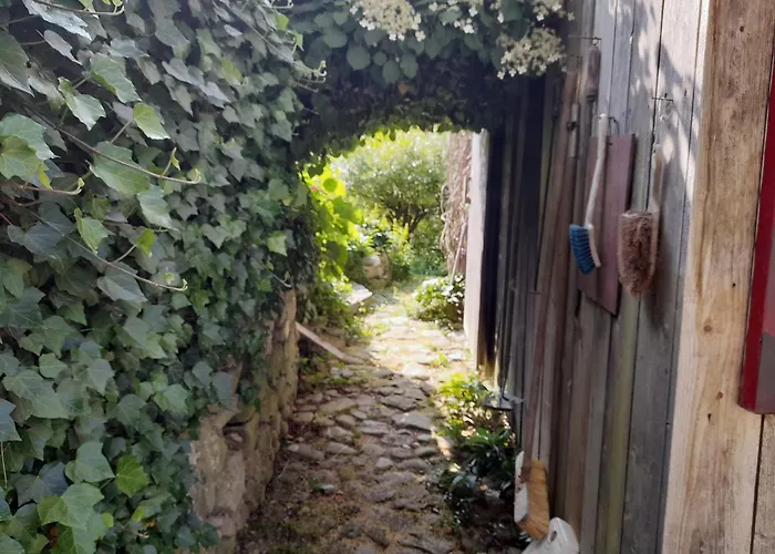 Im Naturgarten