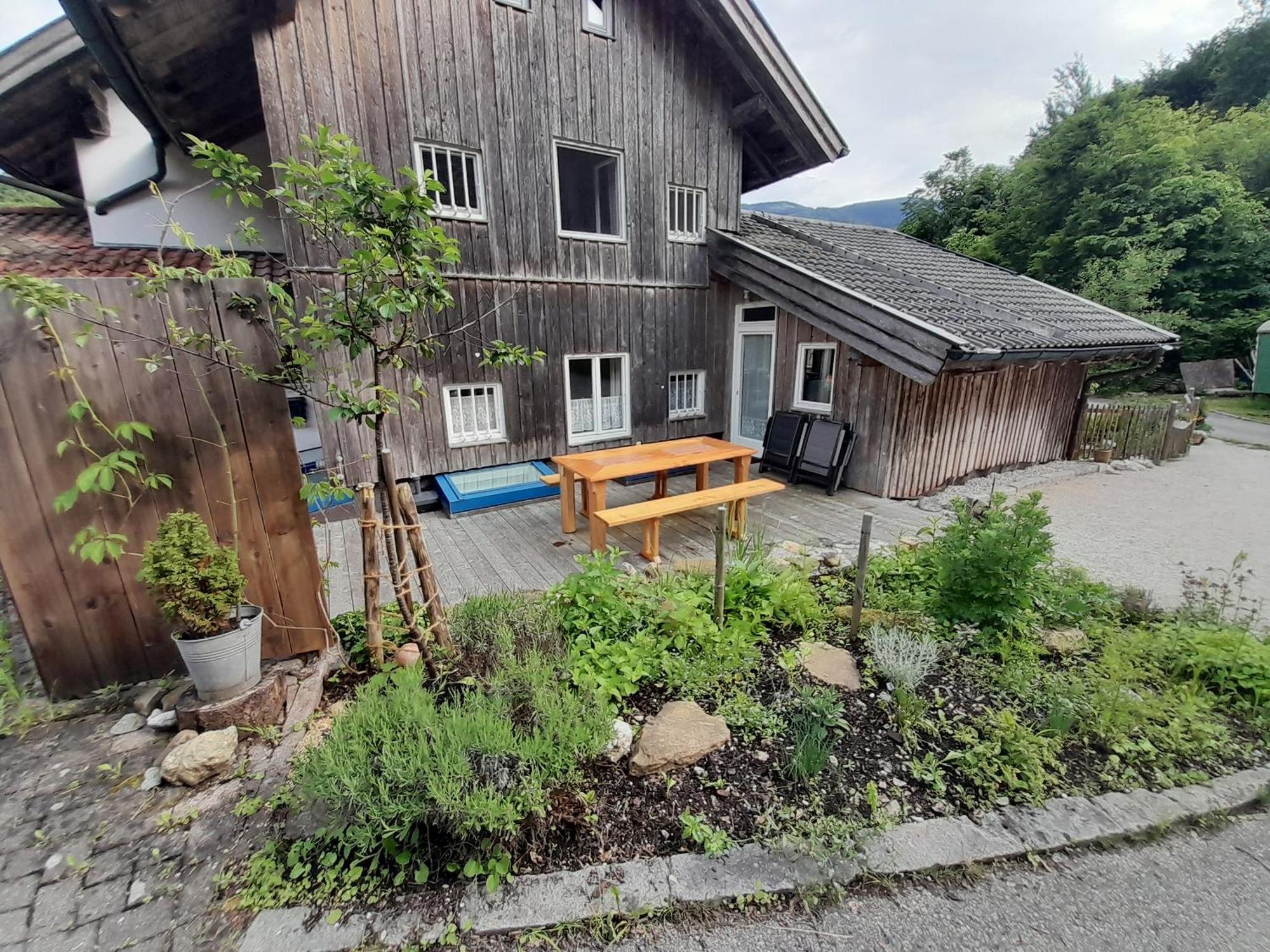 Im Naturgarten *