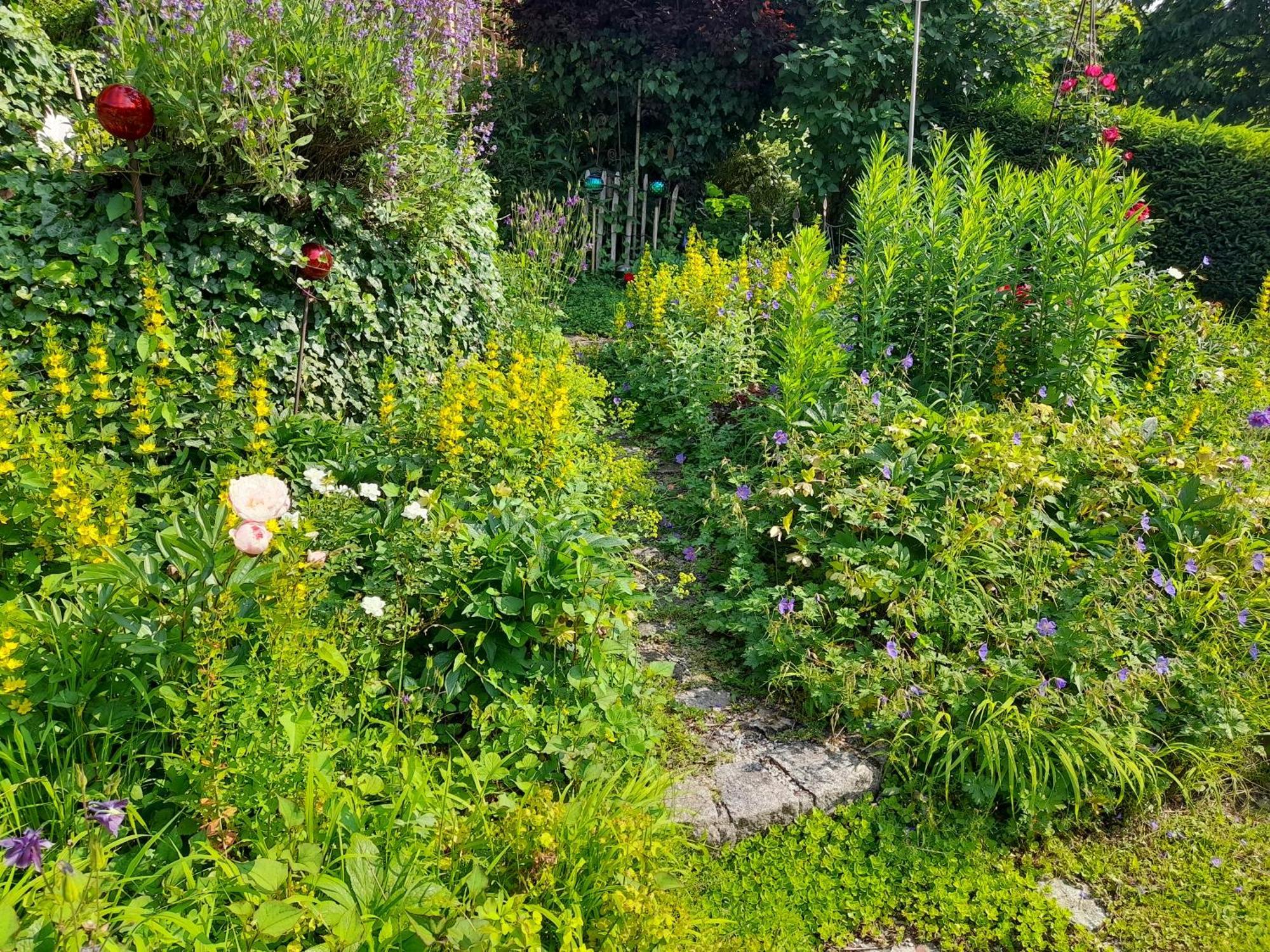 Im Naturgarten Teisendorf